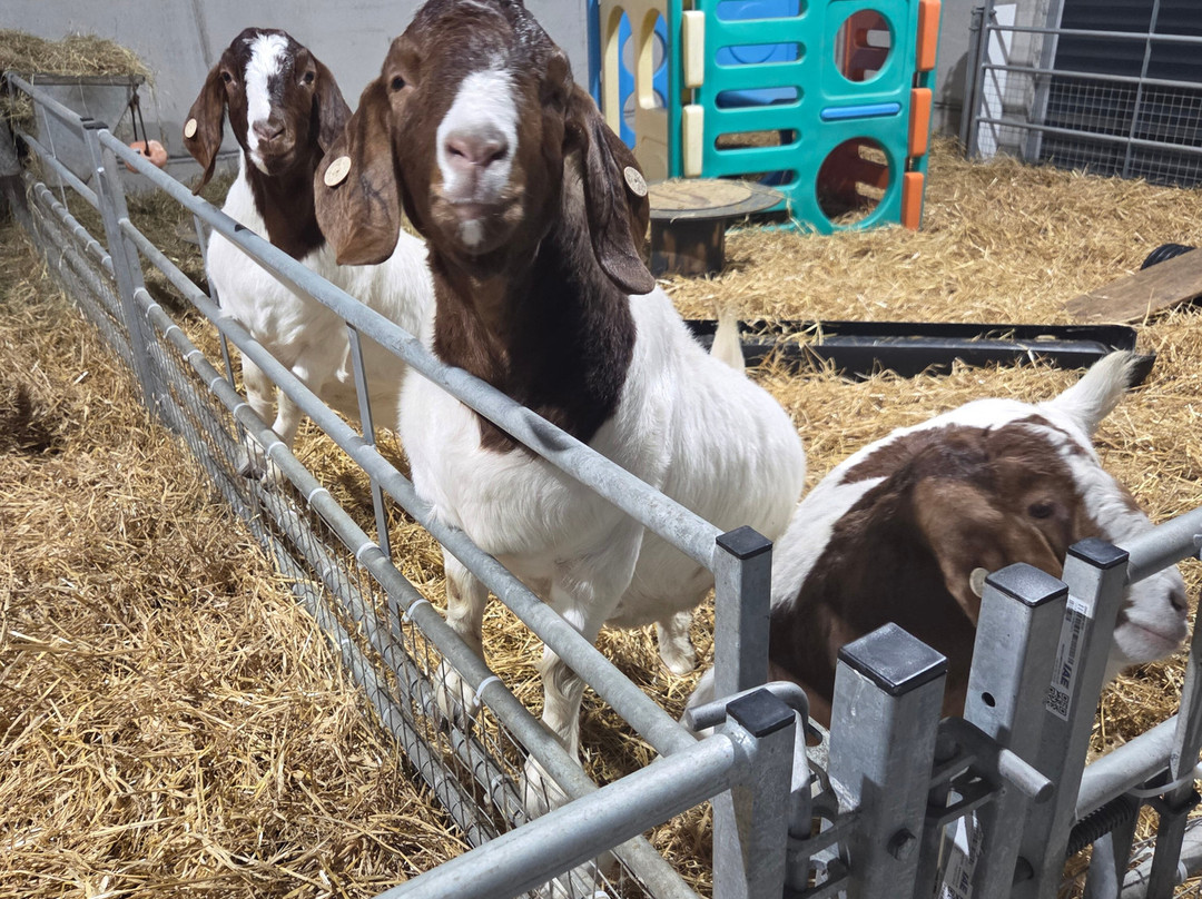 Farm Stop-Portlethen必去景点