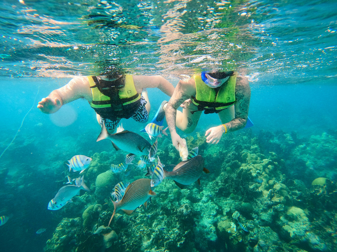 Snorkeling Tour Varadero-巴拉德罗必去景点