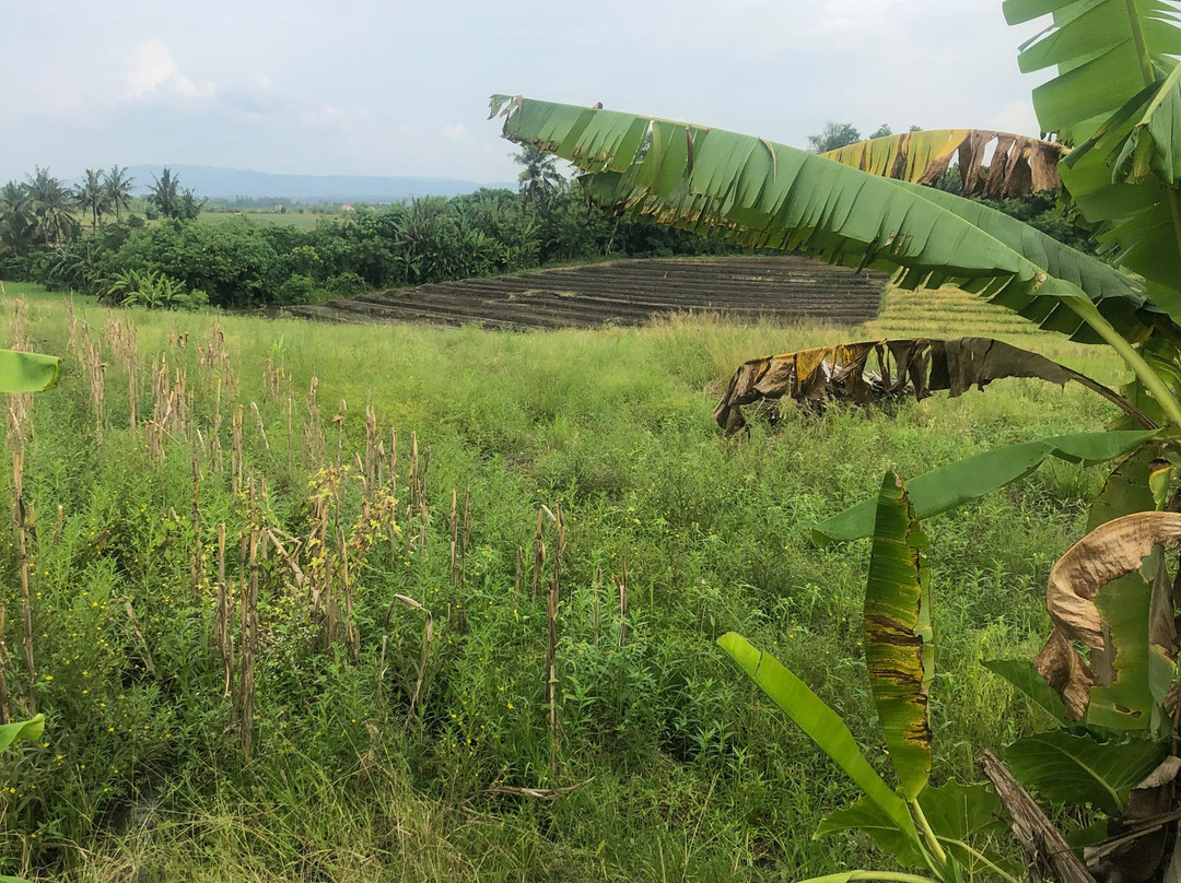 Aussie Bali Adventures-达巴南必去景点