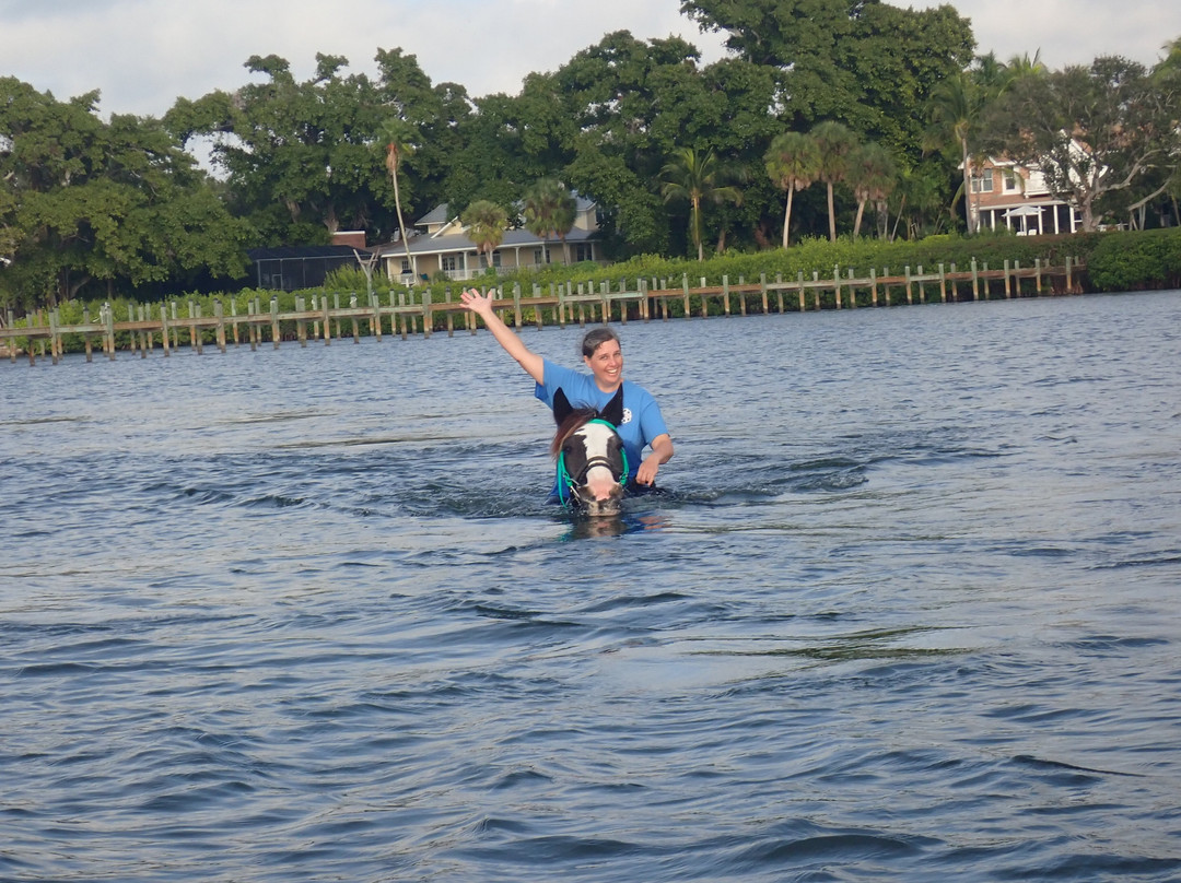 C Ponies Beach Horseback Rides-布雷登顿必去景点
