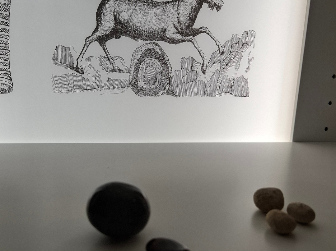 Pharmaziemuseum-布雷萨诺内必去景点