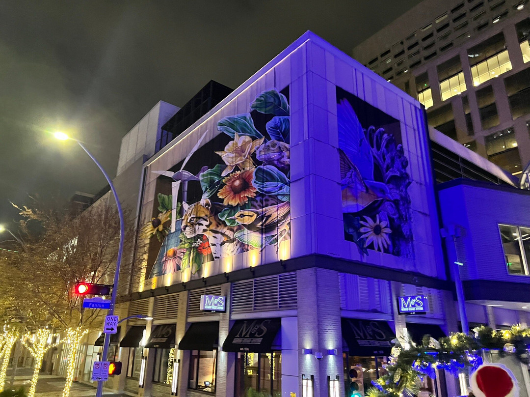 Houston City Tours-休斯顿必去景点