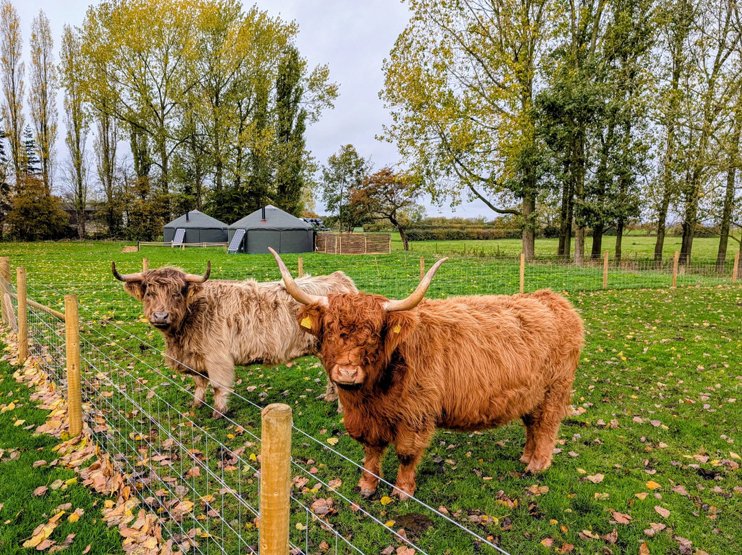 Dumble Farm Camping & Glamping
