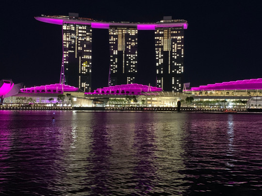 Lion Heartlanders-新加坡必去景点