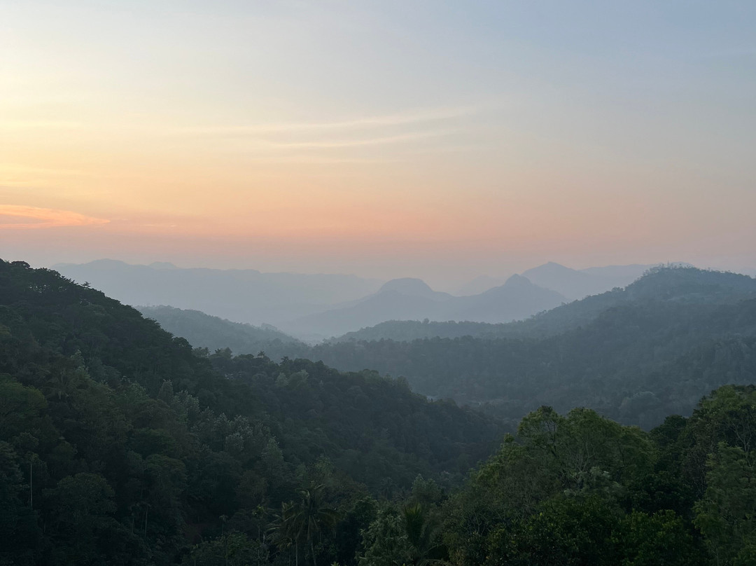 Aveda Mountains And Mist - Munnar主图