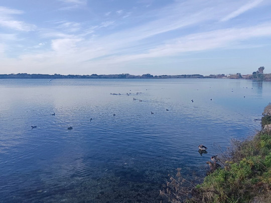 View Food Cake Bar Bacoli