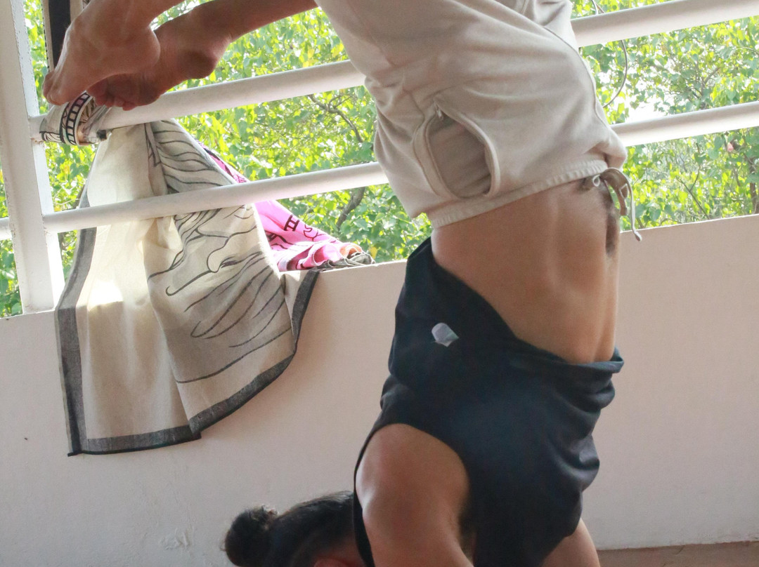 Raj Yoga School-Arambol必去景点