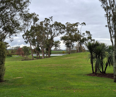 Zealong Tea Estate-汉密尔顿必去景点