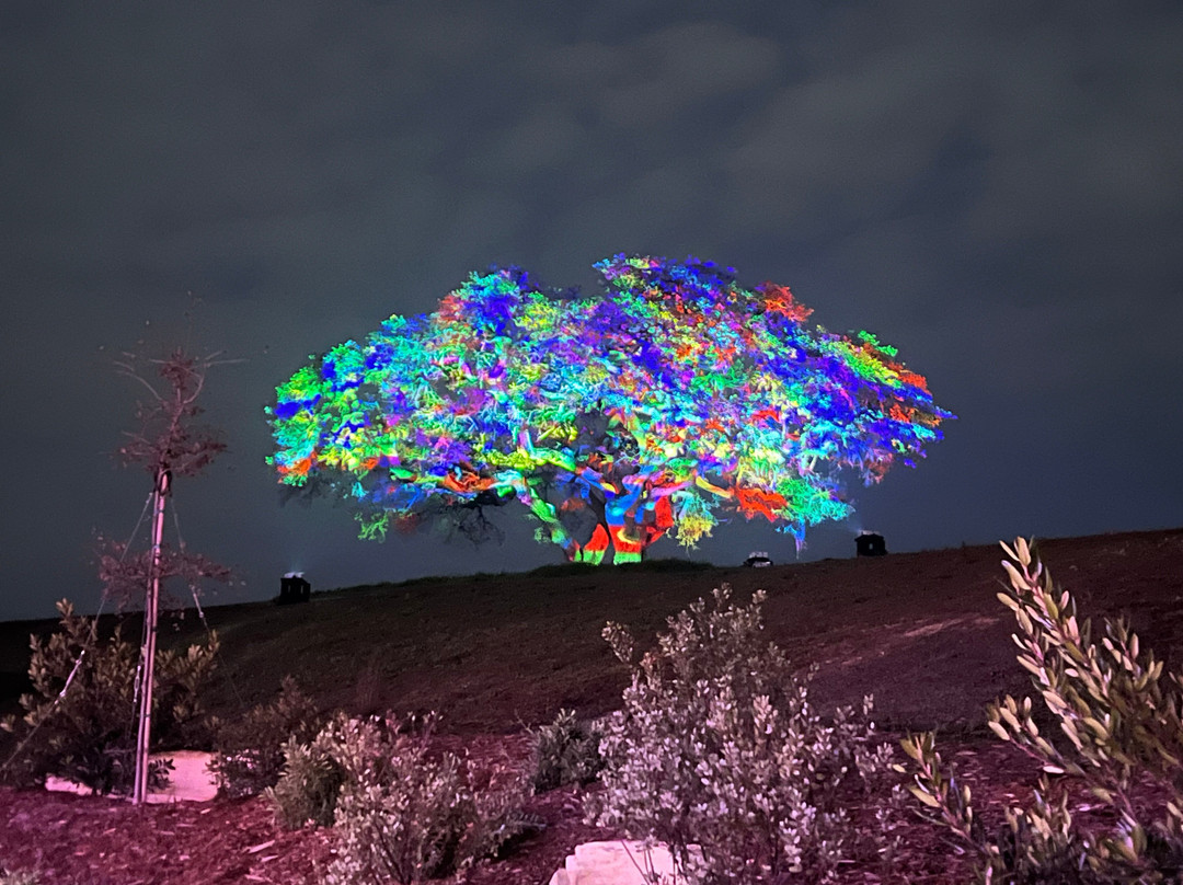 Sensorio-帕索罗布尔斯必去景点