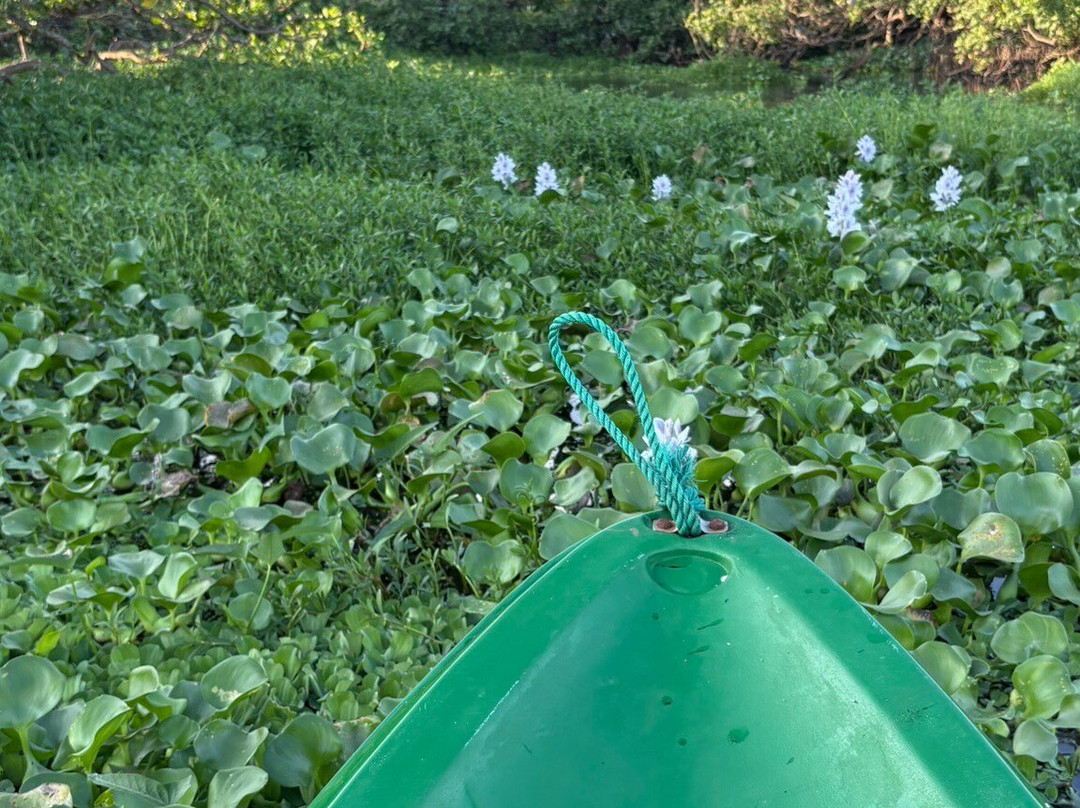 Wildlife Wonders Sri Lanka-唐卡拉必去景点
