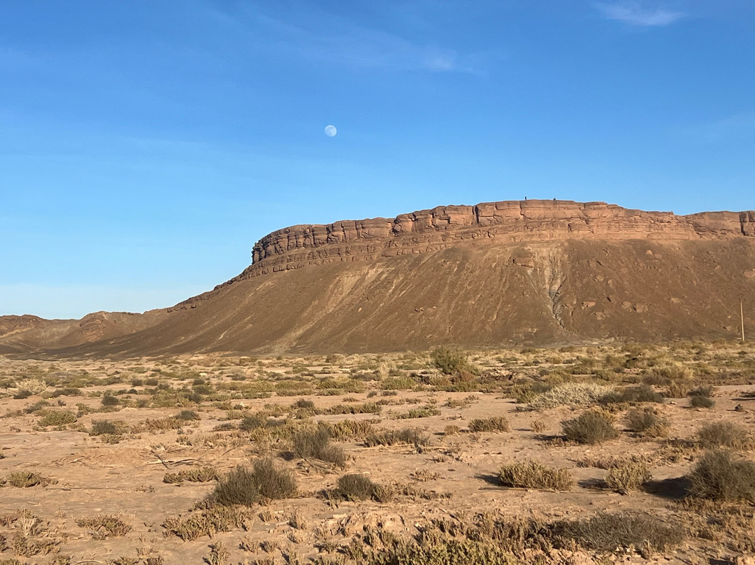 Redouane Sahara Tours-伊拉悉迪亚必去景点