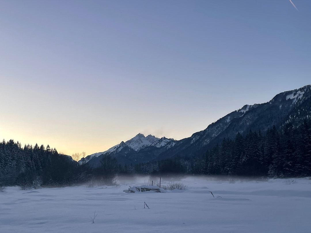 Ettal Wintersport: Wildfutterung im Grasswangtal-埃塔尔必去景点