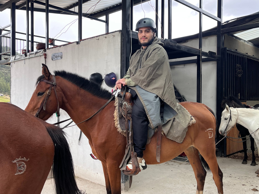 Centro Ecuestre Bellavista-昆卡必去景点