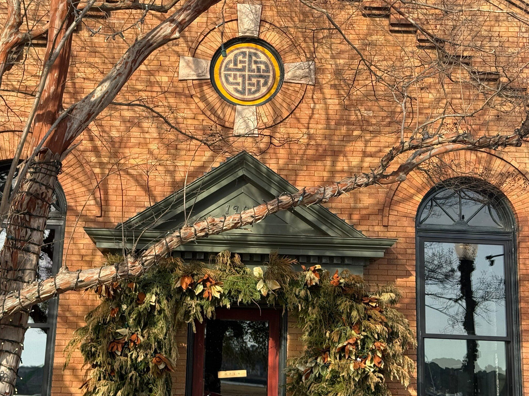 The Elephant & Octopus