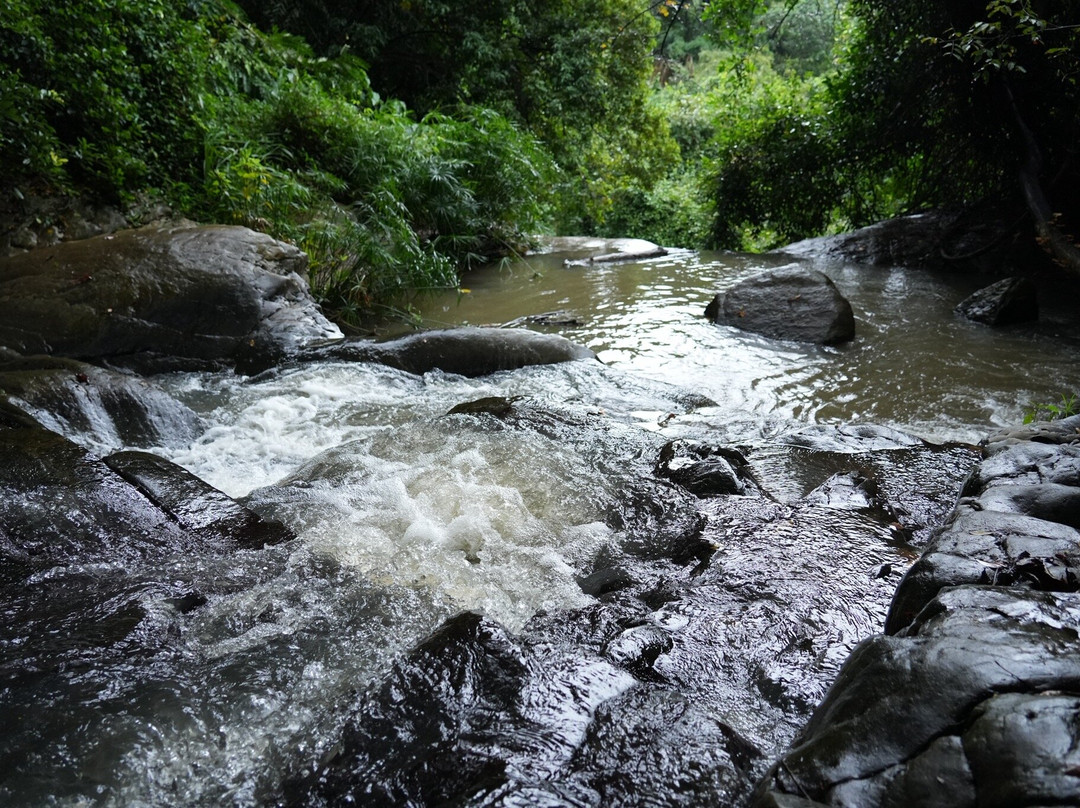 Trek Tropical Tours - Sri Lanka Tours & Travels-埃勒必去景点