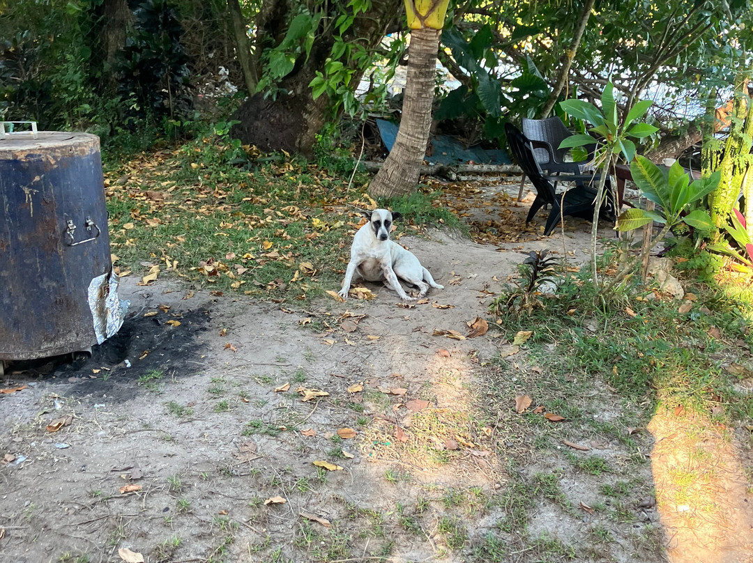 Gypsy Divers Dive Resort-哈夫洛克岛必去景点