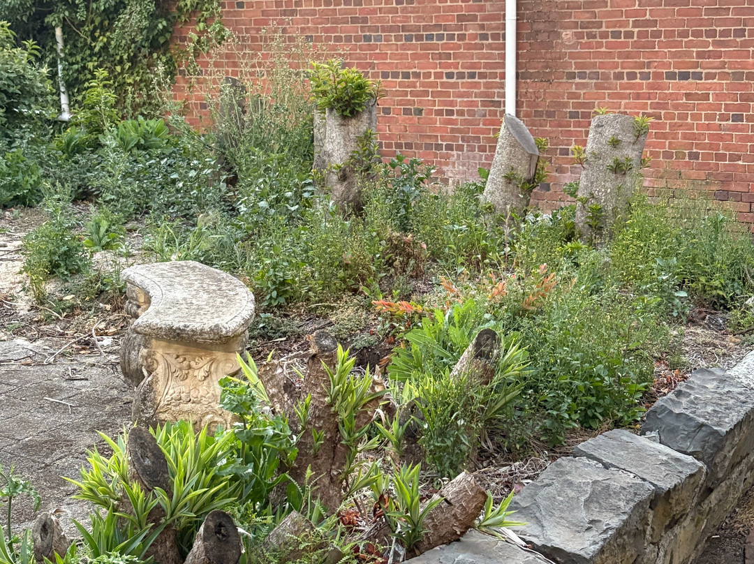 中央温泉酒店主图