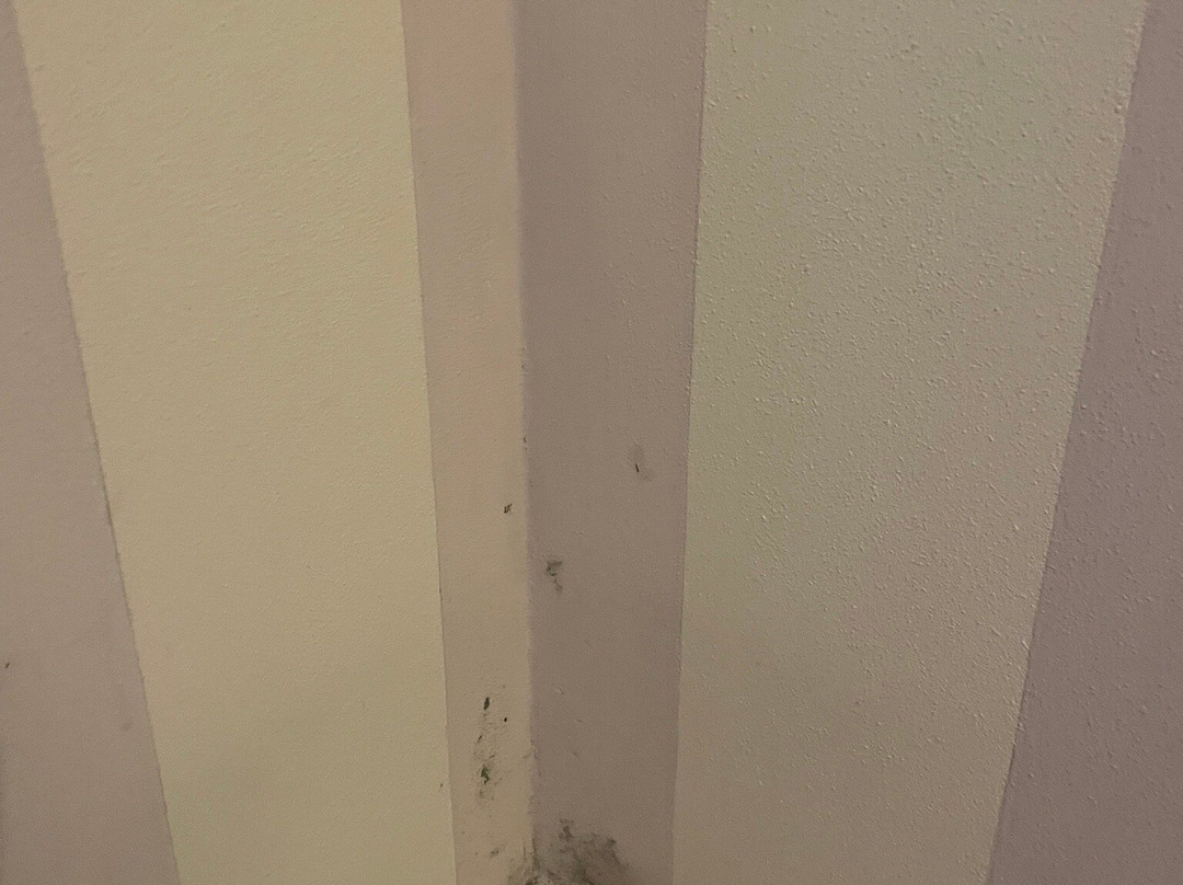 B&B L'orto Delle Terme主图