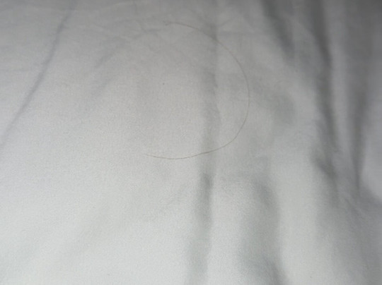 克利夫兰希尔顿恒庭酒店主图