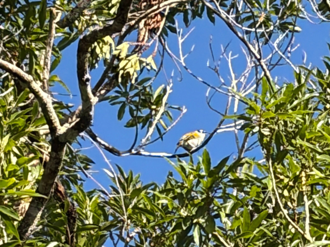 Booking Adventures-Sabana de la Mar必去景点