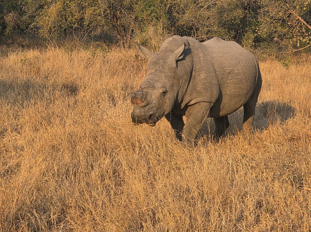 Africa Explore Safaris-开普敦必去景点