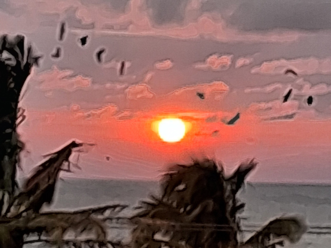 The Ocean Pearl Hotel主图