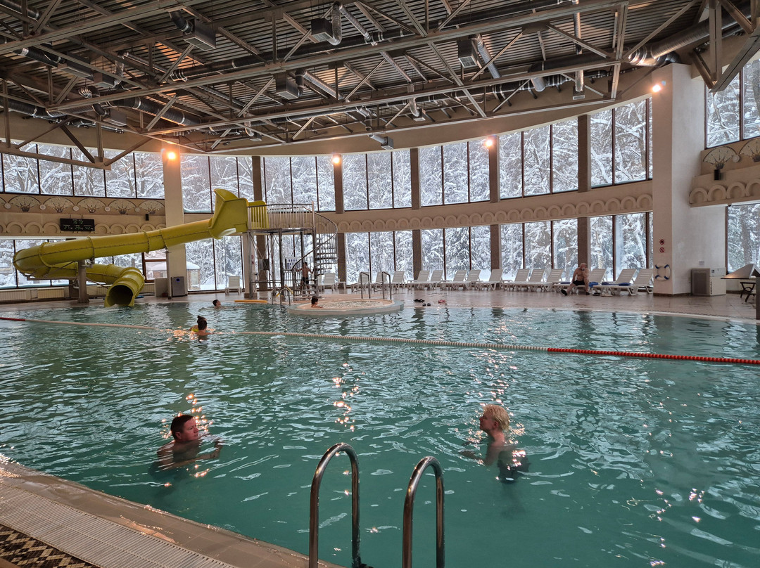 Tishkovo酒店住宿-Arthurs Spa Hotel by Mercure