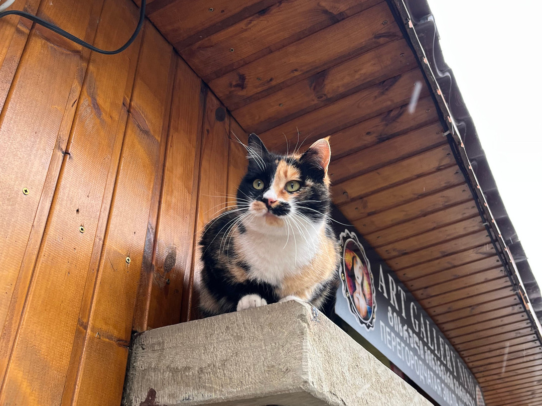 Tours in Georgia by BFT GROUP-第比利斯必去景点