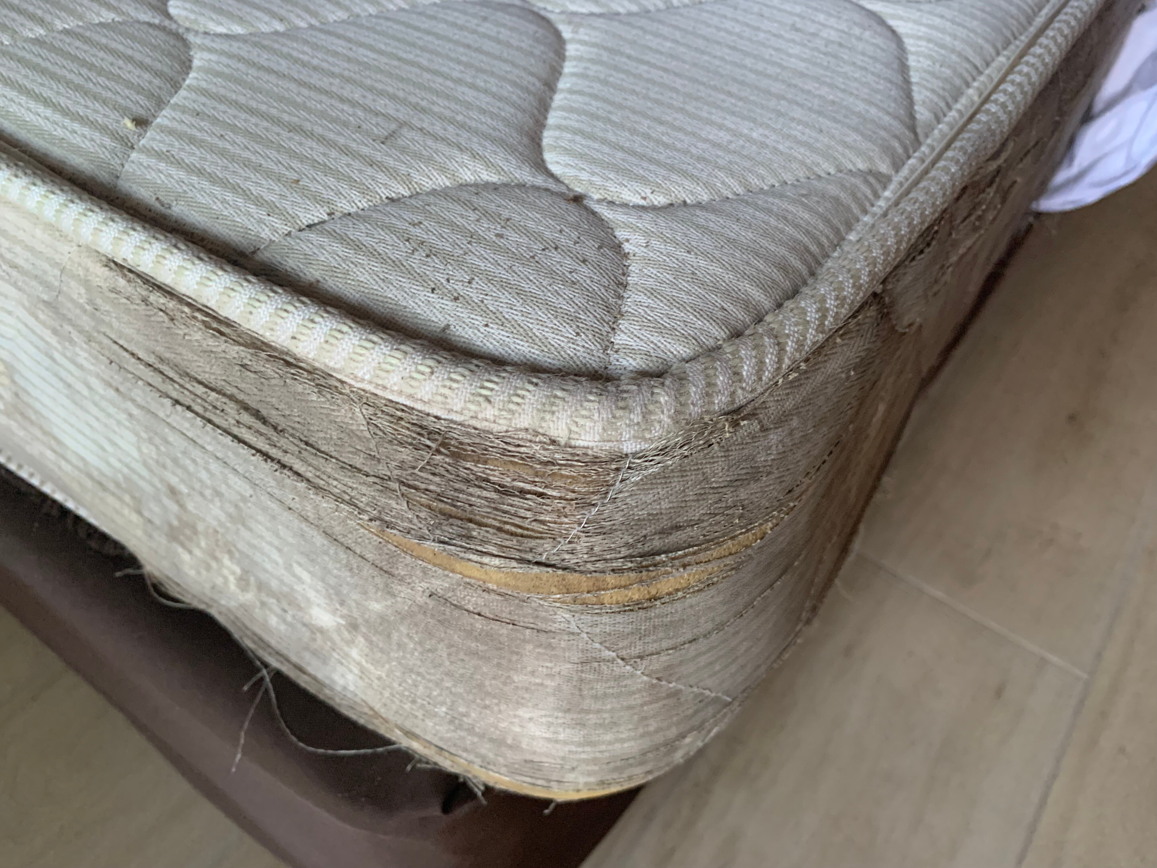 芒特拉维尼亚酒店-官方