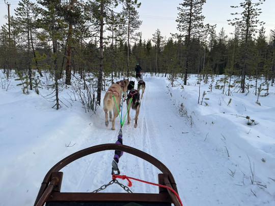 哈士奇雪橇之旅-罗瓦涅米必去景点