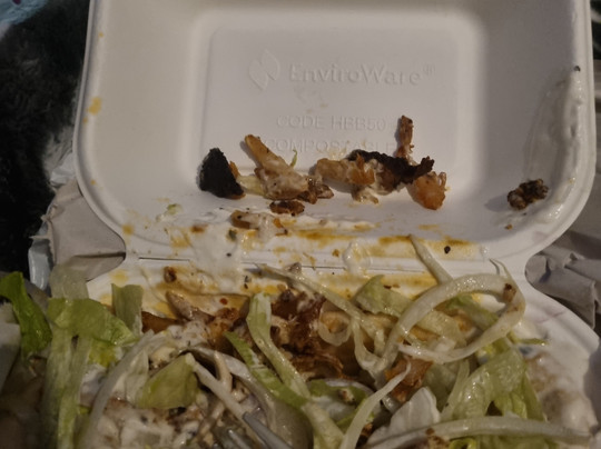 Yummies Kebab Cwmbran