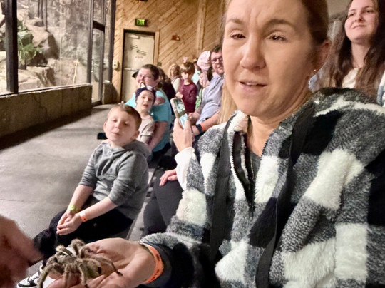 Rainforest Adventures-塞维尔维尔必去景点