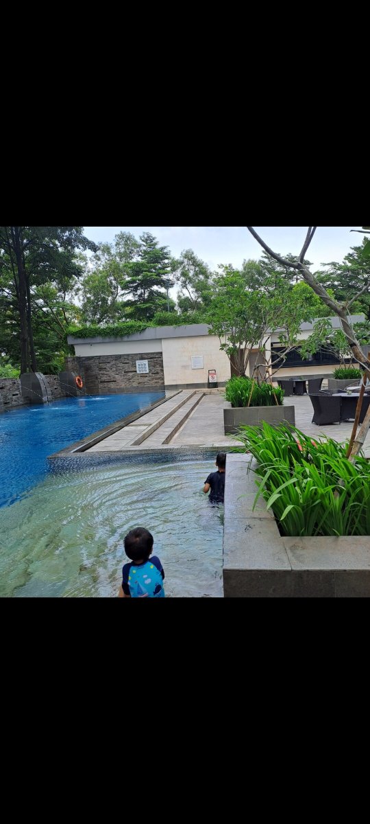 凤凰木酒店-官方