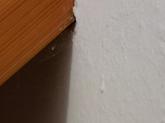 Seehotel Schorfheide主图