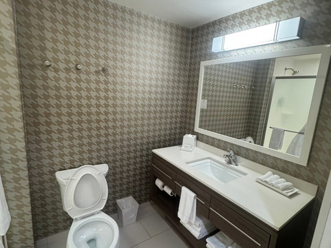 希尔顿家园套房 - 南卡罗来纳州福特米尔主图