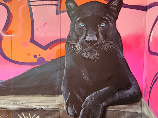 Zoo Art Show-Puteaux必去景点