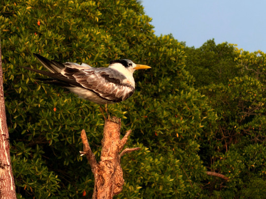 Kayak journey-Rekawa必去景点