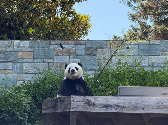 阿德莱德动物园-阿德莱德必去景点