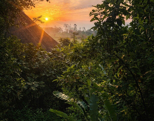 Gorilla Trek Africa-吉佳利必去景点