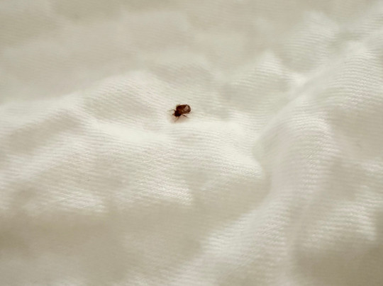 Holiday Inn Express & Suites Vicksburg By IHG主图