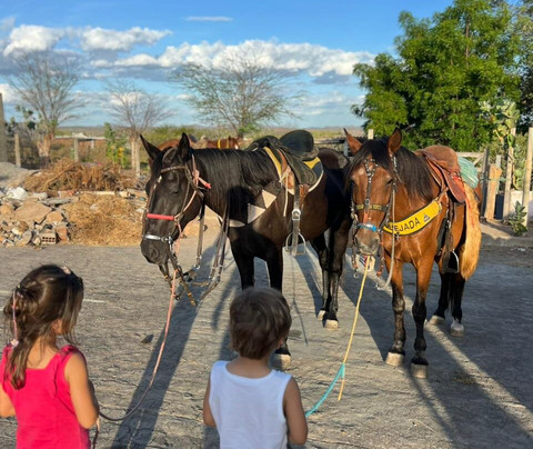 Sertão A Cavalo-Piranhas必去景点