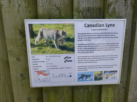 Hamerton Zoo Park-Sawtry必去景点