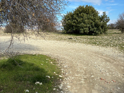 Terra Oliva-Pano Lefkara必去景点