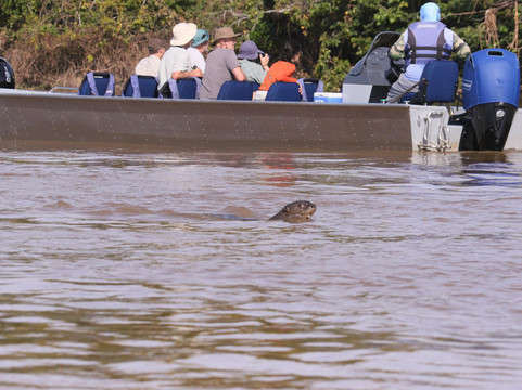 Wildlife Expeditions Of Brazil-Chapada dos Guimaraes必去景点