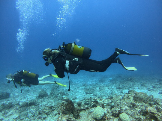 Emperator Diving Center-大湾必去景点