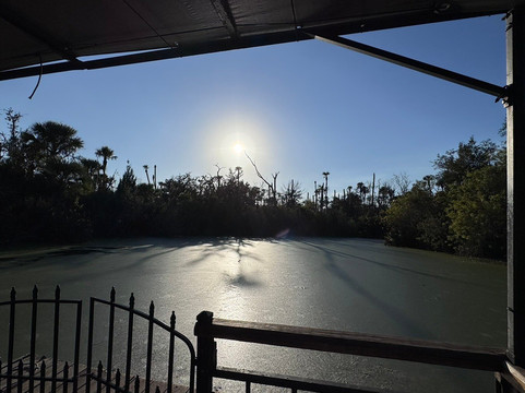 Jungle Adventures A Real Florida Animal Park-Christmas必去景点