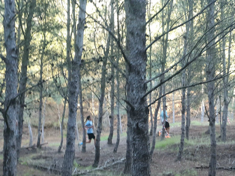 Carrera Alcalde De La Unión-La Union必去景点