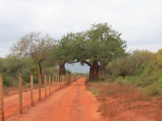 JT Safaris-迪亚尼必去景点