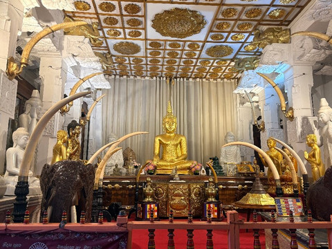 Theo Tuk Tuk Tours-康提必去景点