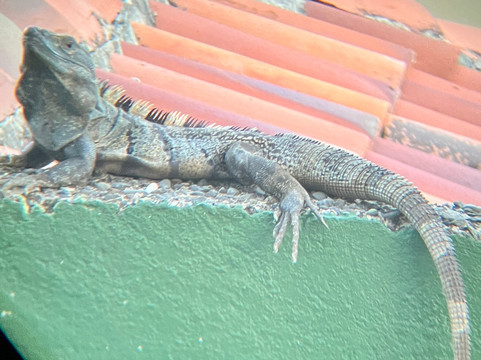 Hermosa Beach House主图